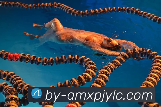 新葡京娱乐平台生态图