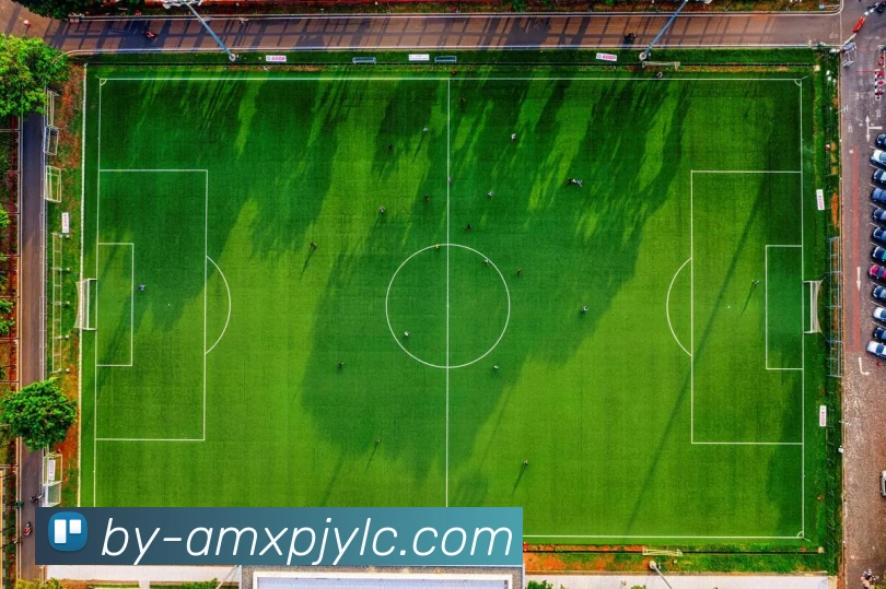 数据防护可视化